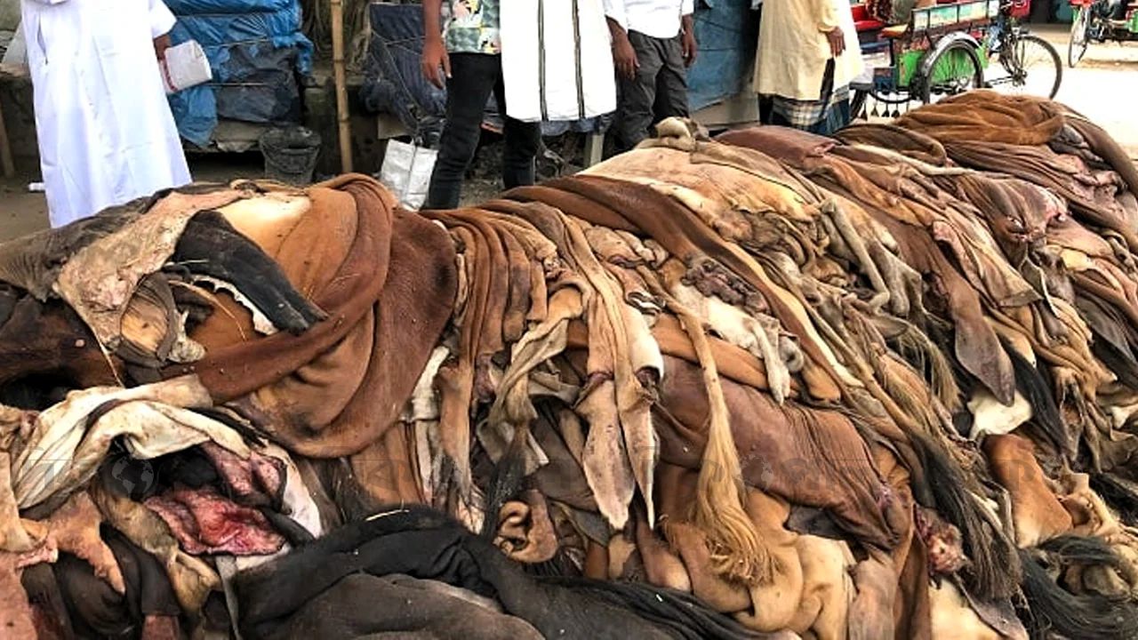 সংকট আর অব্যবস্থাপনায় পিছিয়ে চামড়াখাত
