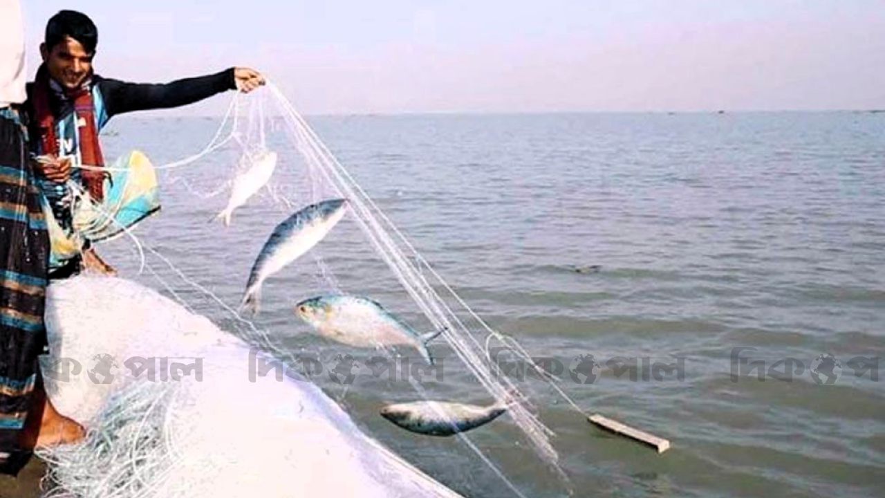 ইলিশ উৎপাদনে জেলেদের জন্য বাড়তি আর্থিক সহায়তার ঘোষণা সরকারের