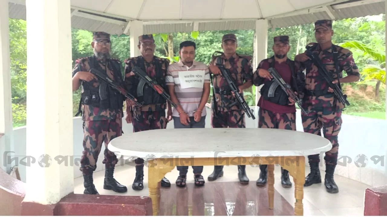 বড়লেখা সীমান্তে ভারতীয় নাগরিককে আটক করেছে বিজিবি