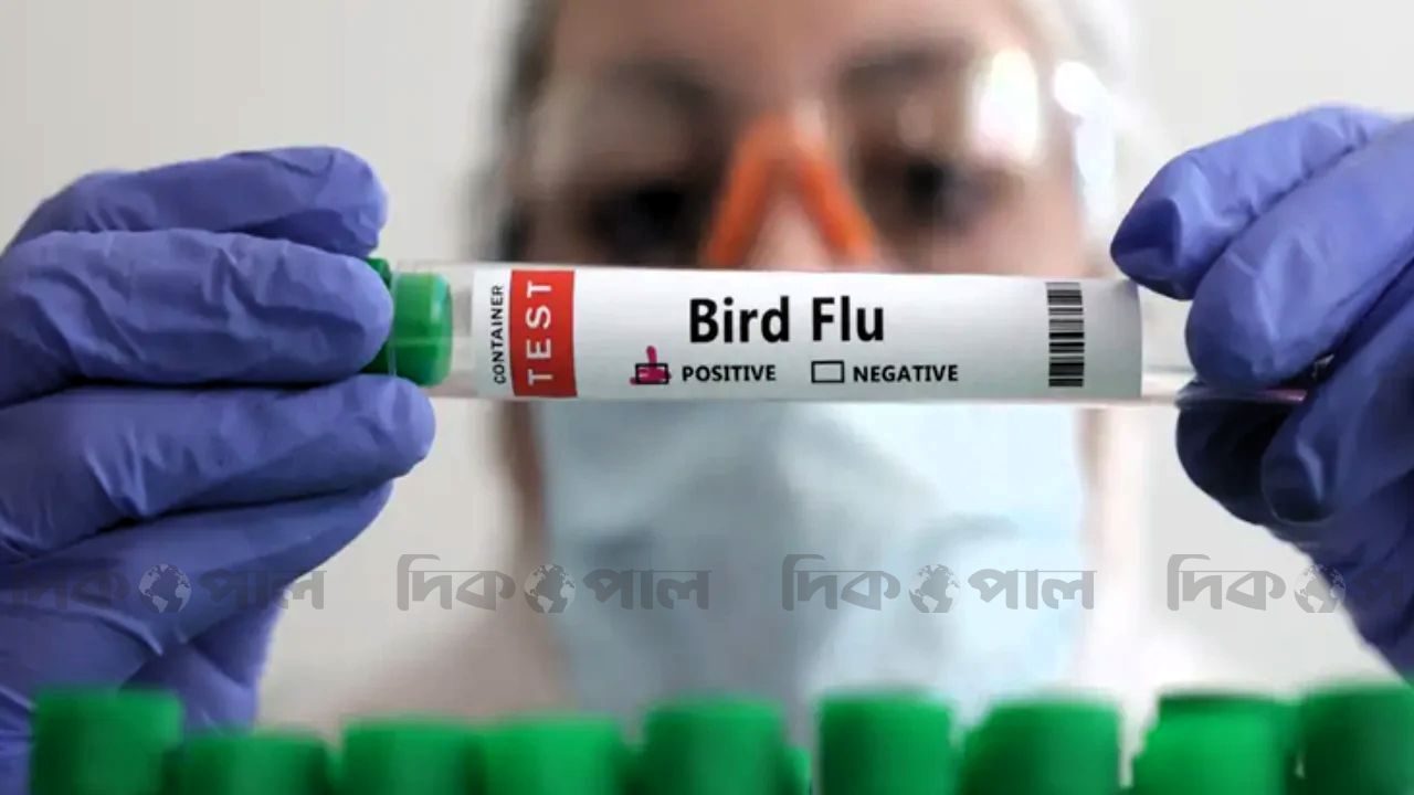অস্ট্রেলিয়ায় প্রথমবার শনাক্ত সংক্রামক এইচ৫ বার্ড ফ্লু