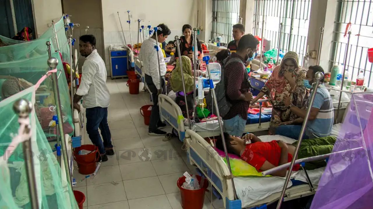 বর্ষা শুরুতেই ডেঙ্গু সংক্রমণ বাড়ছে হাসপাতালে বাড়ছে রোগীর ভিড়