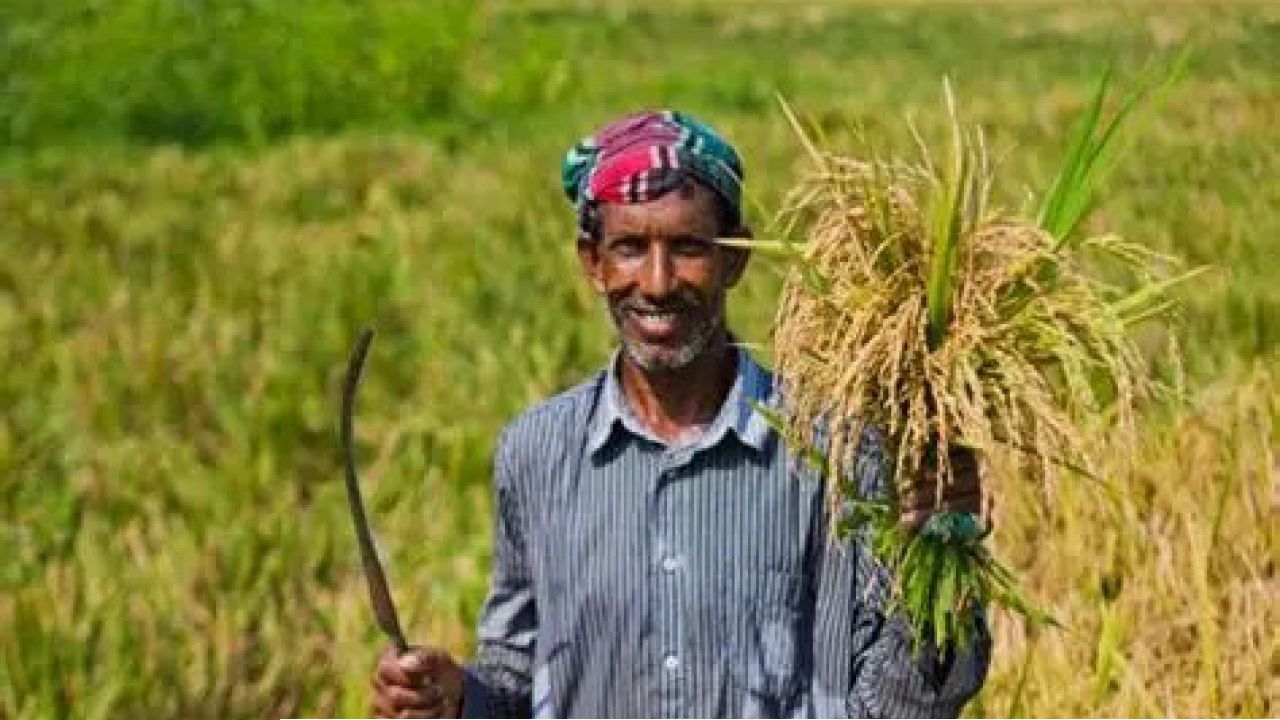 সার আমদানিতে বাংলাদেশকে ৩০ কোটি ডলার দিচ্ছে বিশ্বব্যাংক