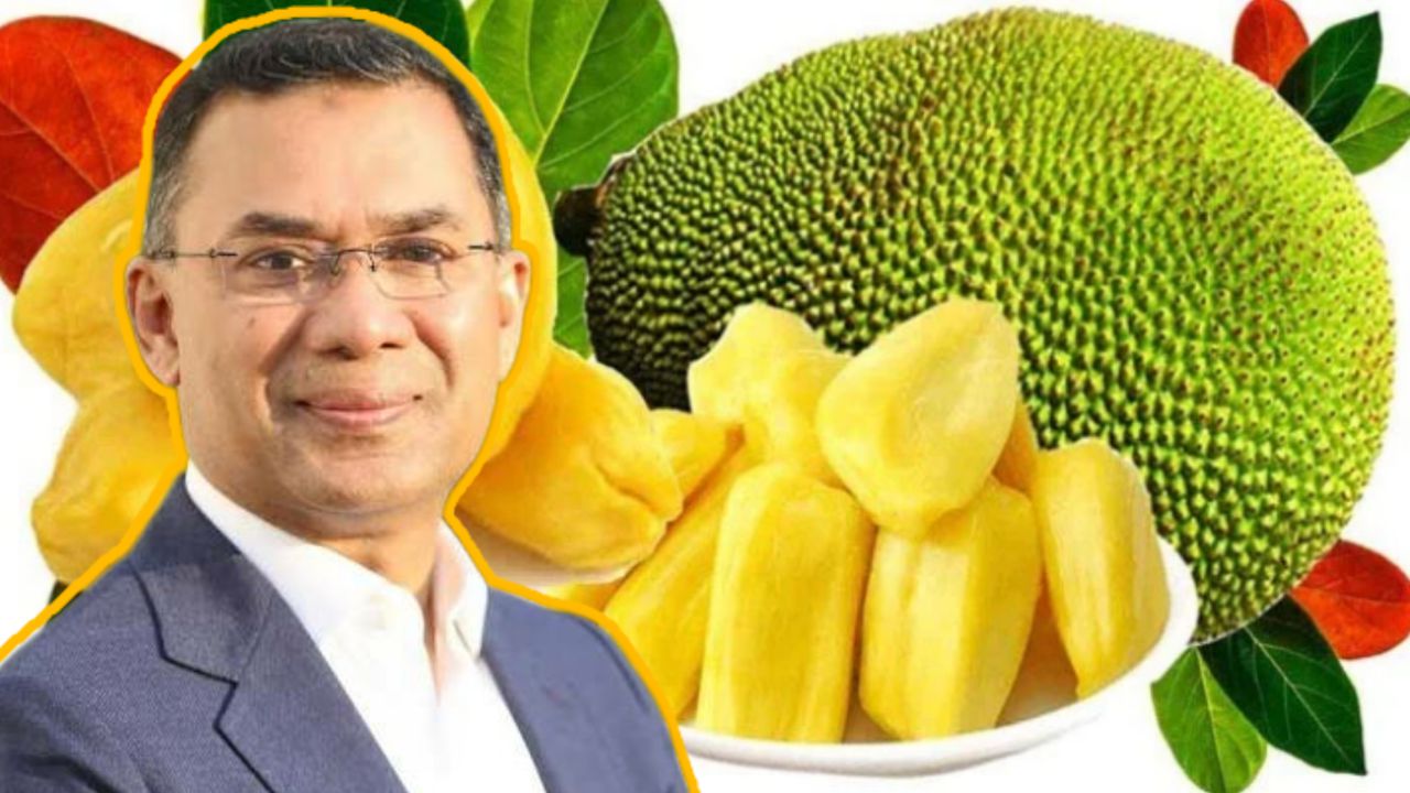 চীনে যাচ্ছে বাংলাদেশি কাঁঠাল