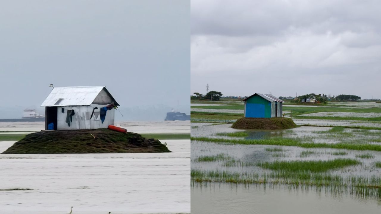 হাতিয়ায় নতুন জেগে ওঠা চরে খাসজমি দখলের অভিযোগ