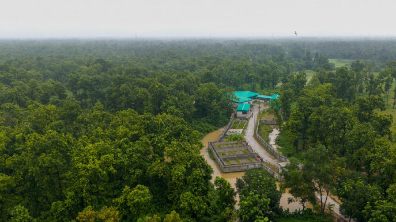 সংরক্ষিত বন ঘেঁষে বর্জ্য প্ল্যান্ট, পরিবেশ ছাড়পত্র নেয়নি পৌরসভা