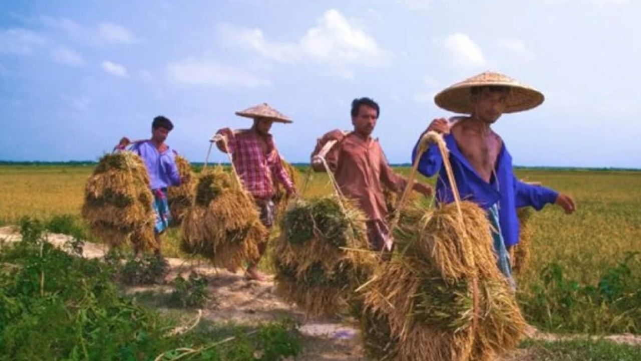 ‘জাতীয় উৎপাদনশীলতা দিবস ২০২৬’ পালিত: প্রযুক্তি ও দক্ষতার সমন্বয়ে জোর রাষ্ট্রপতি ও প্রধানমন্ত্রীর
