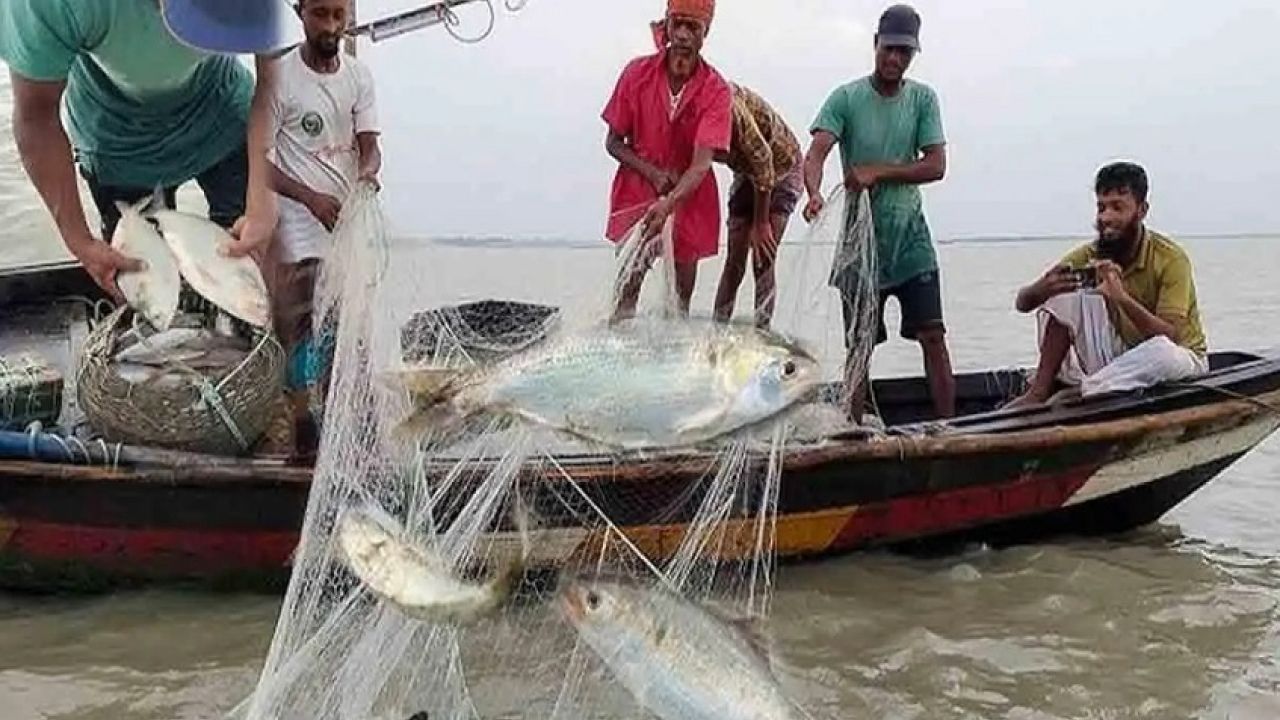 মা ইলিশ রক্ষায় ২২ দিনের নিষেধাজ্ঞা শুরু, বিপাকে দুই লাখ জেলে