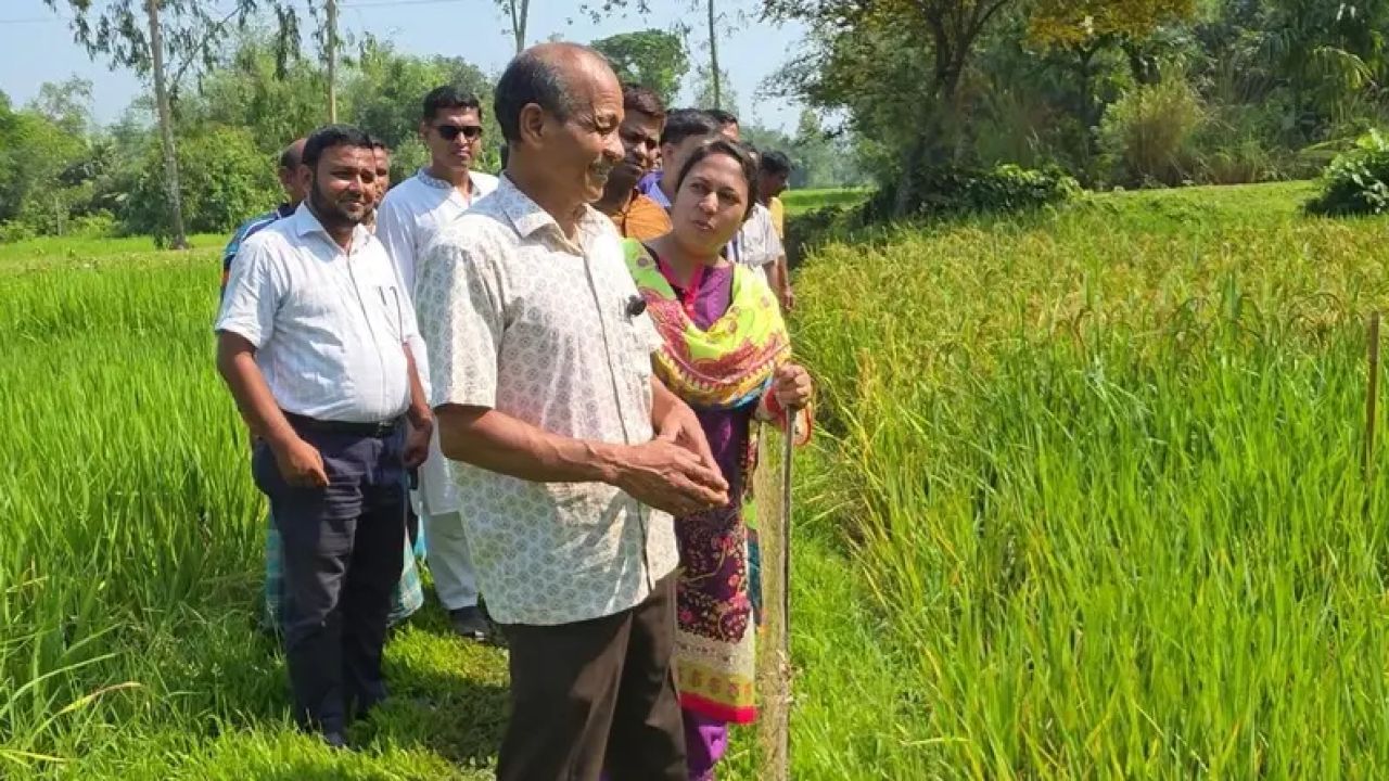 শেরপুরের প্রান্তিক কৃষক সেন্টু কুমার হাজংয়ের ২১ বছরের সাধনায় ২৫টি নতুন ধানের জাত উদ্ভাবন